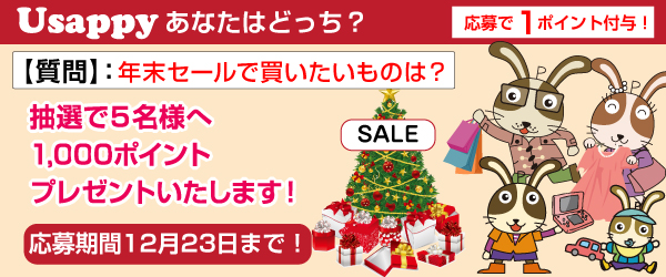 Usappyあなたはどっち？　年末セールで買いたいものは？