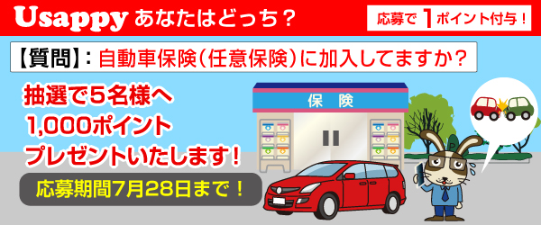Usappyあなたはどっち？　自動車保険（任意保険）に加入してますか？