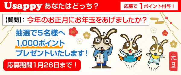 Usappyあなたはどっち？　今年のお正月にお年玉をあげましたか？