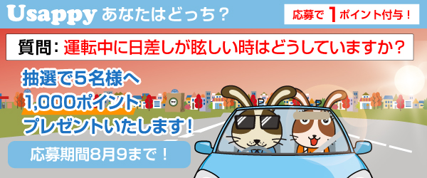 Usappyあなたはどっち？　運転中に日差しが眩しい時はどうしていますか？