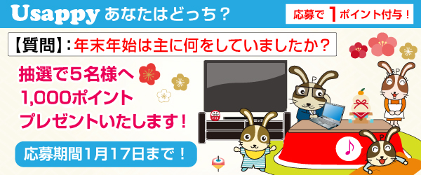 Usappyあなたはどっち？　年末年始は主に何をしていましたか？