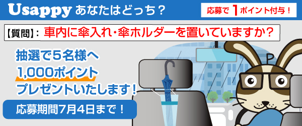 Usappyあなたはどっち？　車内に傘入れ・傘ホルダーを置いていますか？