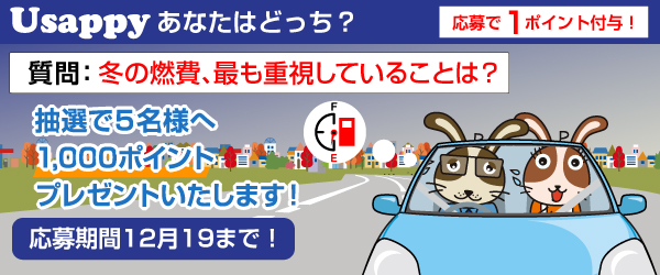 Usappyあなたはどっち？　冬の燃費、最も重視していることは？