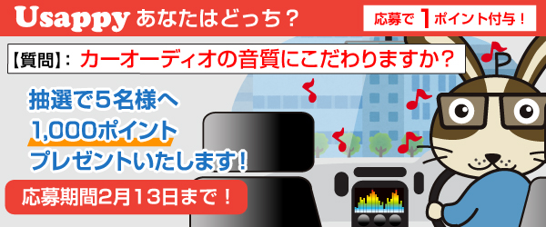 Usappyあなたはどっち？　カーオーディオの音質にこだわりますか？