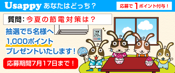 Usappyあなたはどっち？　今夏の節電対策は？