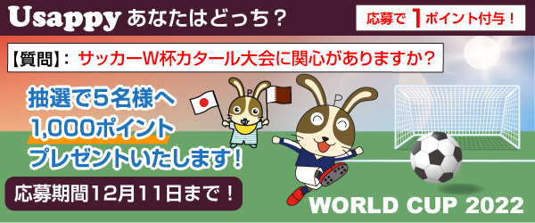 Usappyあなたはどっち？　サッカーW杯カタール大会に関心がありますか？