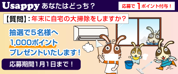 Usappyあなたはどっち？　年末に自宅の大掃除をしますか？