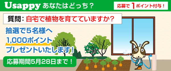 Usappyあなたはどっち？　自宅で植物を育てていますか？