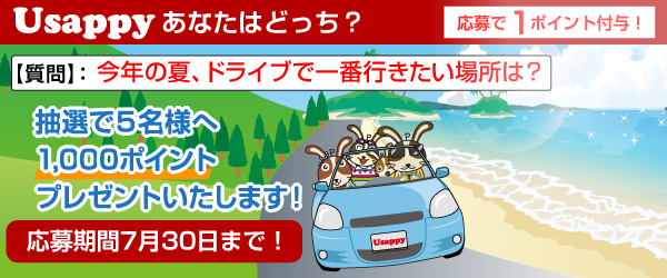 Usappyあなたはどっち？　今年の夏、ドライブで一番行きたい場所は？