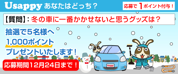 Usappyあなたはどっち？　冬の車に一番かかせないと思うグッズは？