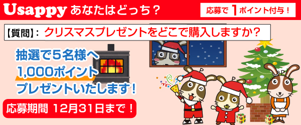 Usappyあなたはどっち？　クリスマスプレゼントをどこで購入しますか？