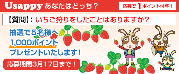 Usappyあなたはどっち？　いちご狩りをしたことはありますか？