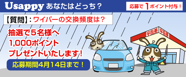 Usappyあなたはどっち？　ワイパーの交換頻度は？