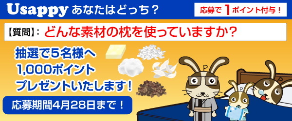 Usappyあなたはどっち？　どんな素材の枕を使っていますか？