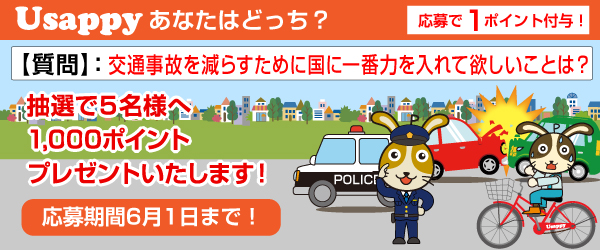 Usappyあなたはどっち？　交通事故を減らすために国に一番力を入れて欲しいことは？