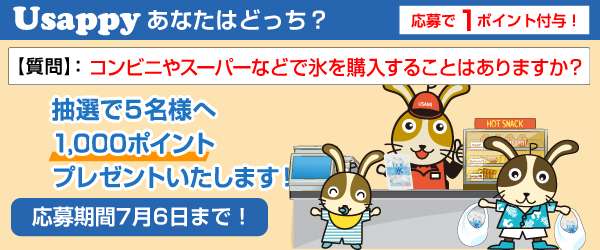 Usappyあなたはどっち？　コンビニやスーパーなどで氷を購入することはありますか？