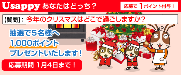 Usappyあなたはどっち？　今年のクリスマスはどこで過ごしますか？
