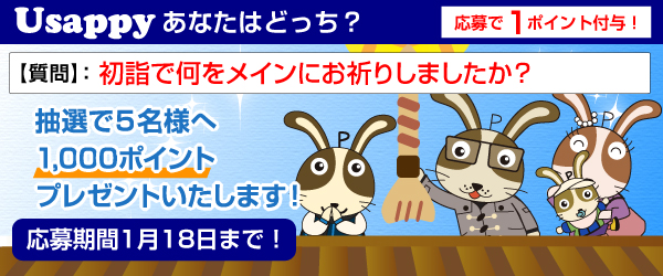 Usappyあなたはどっち？　初詣で何をメインにお祈りしましたか？