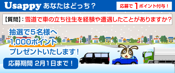 Usappyあなたはどっち？　雪道で車の立ち往生を経験や遭遇したことがありますか？