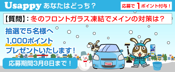Usappyあなたはどっち？　冬のフロントガラス凍結でメインの対策は？